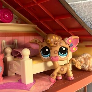 RARE Lps Cow #2307